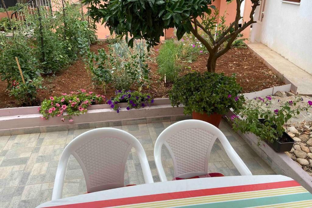 Appartamento Manuel Korčula Esterno foto
