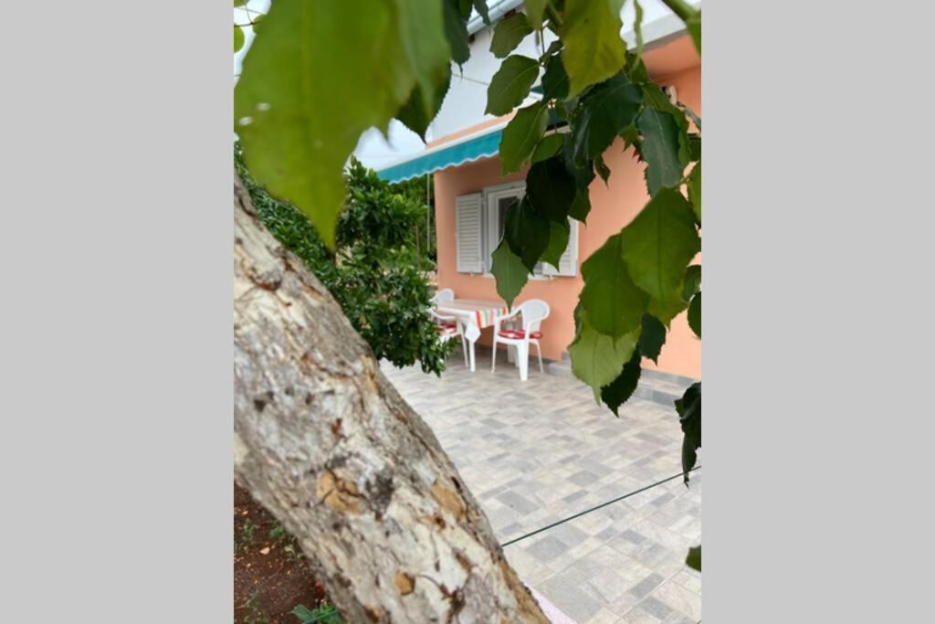 Appartamento Manuel Korčula Esterno foto